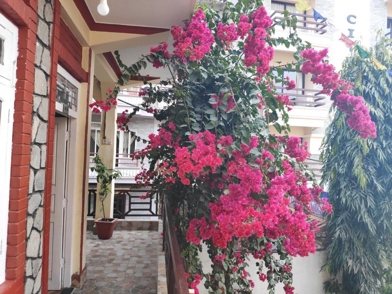 Hotel Angel Покхара Экстерьер фото